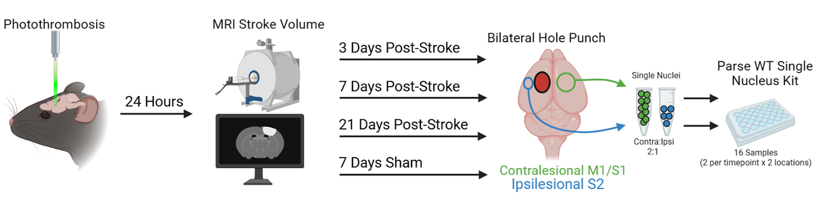 A Bioinformatician’s Perspective on Single Cell Data Analysis with ...