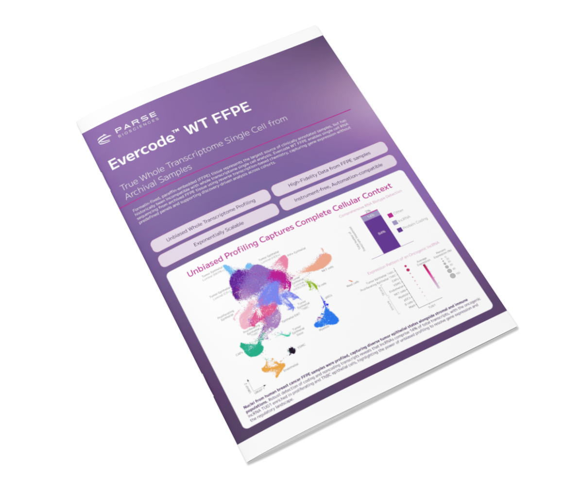 Evercode™ WT FFPE - Parse Biosciences